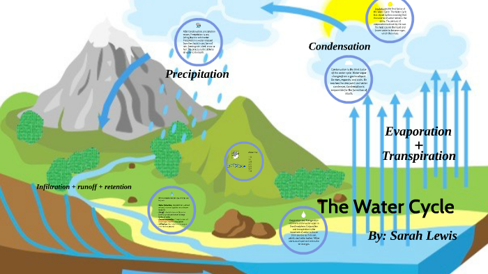 The Water Cycle by Sarah Lewis on Prezi