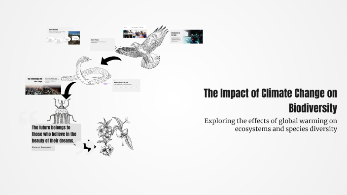 The Impact of Climate Change on Biodiversity by purva Patel on Prezi