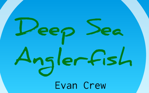 Deep Sea Anglerfish by Evan Crew on Prezi