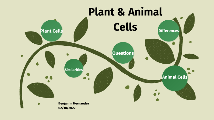 Plant & Animal Cells by Benjamin Hernandez on Prezi