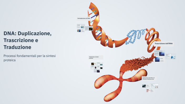 DNA: Duplicazione, Trascrizione e Traduzione by Giuseppe Pio Spataro on ...