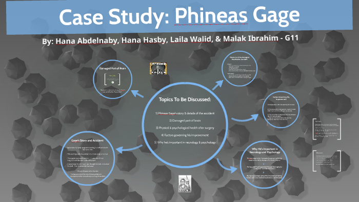 problems with phineas gage case study