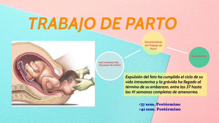 Trabajo De Parto By Johana Taris On Prezi 