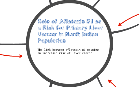 Case Study Connection Between Aflatoxin B1 And Liver Cancer By Claire Tolan