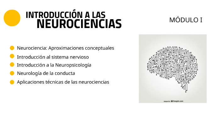 Diplom Neuroeduca By Roberto Legaspi On Prezi