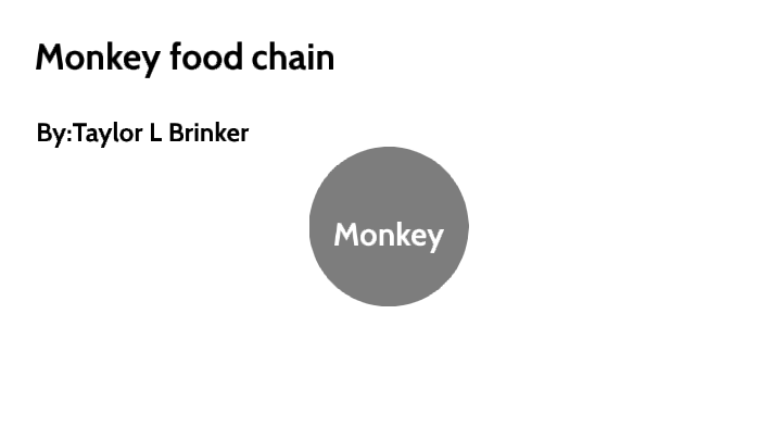 Monkey food chain by Taylor Brinker on Prezi