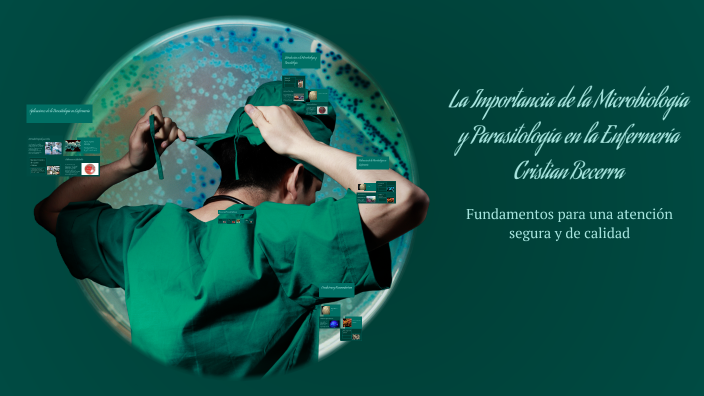 Importancia De La Parasitologia En Enfermeria prezi.com