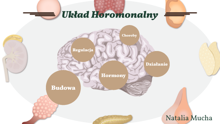 Układ Hormonalny By Natalia Mucha On Prezi Next 6612