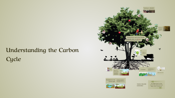 Understanding the Carbon Cycle by Angel Edaño on Prezi