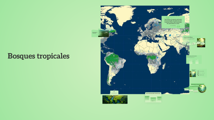 Tropical Rainforests of the World by Nefy Toro on Prezi