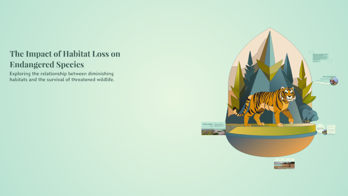 The Impact of Habitat Loss on Endangered Species by Mateo Damas ...