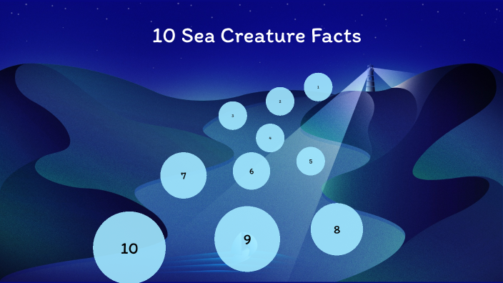 Sea visual data 4