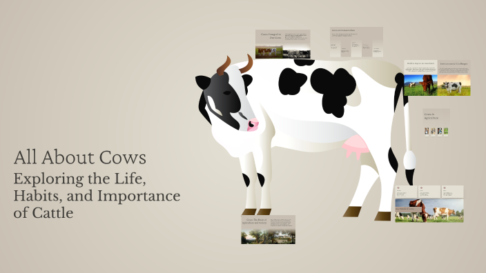 All About Cows by wendy bas on Prezi