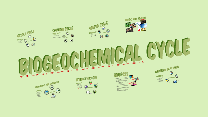 Biogeochemical Cycles by Annie Tran on Prezi