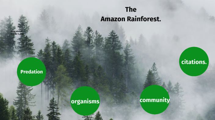 The Amazon Rainforest by Katie Johnson on Prezi