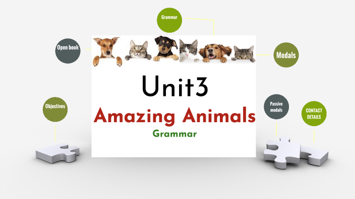 Amazing animals - Grammar by Noura AQ on Prezi