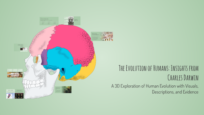 The Evolution of Humans: Insights from Charles Darwin by Reymond ...