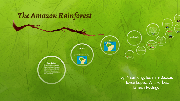 The Amazon Rainforest by Nasi Boy on Prezi