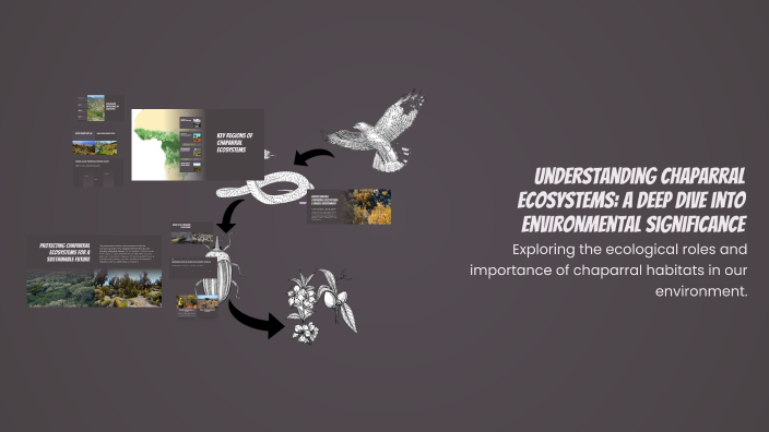 Understanding Chaparral Ecosystems: A Deep Dive into Environmental ...
