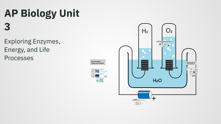 AP Biology Unit 3 by David Velazquez on Prezi