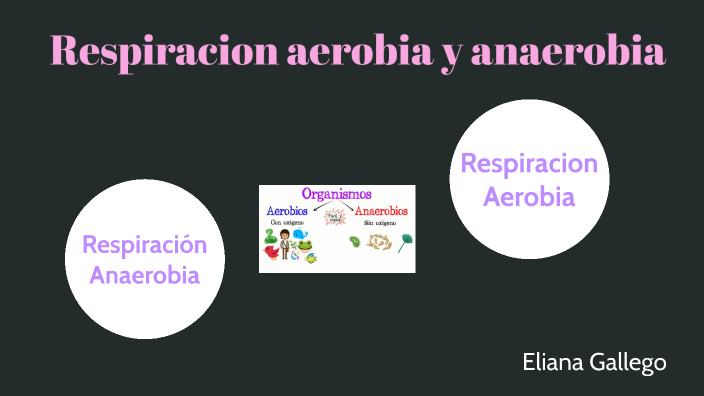 Respiracion Aerobia Y Anaerobia By Eliana Gallego Osorio On Prezi 8088