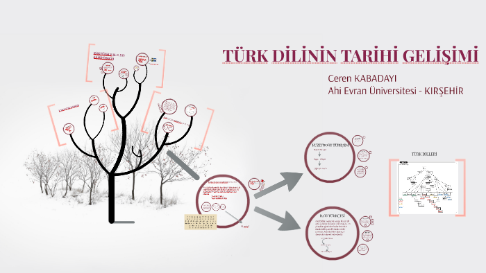 Turk Dilinin Tarihi Gelisimi By Ceren Kabadayi