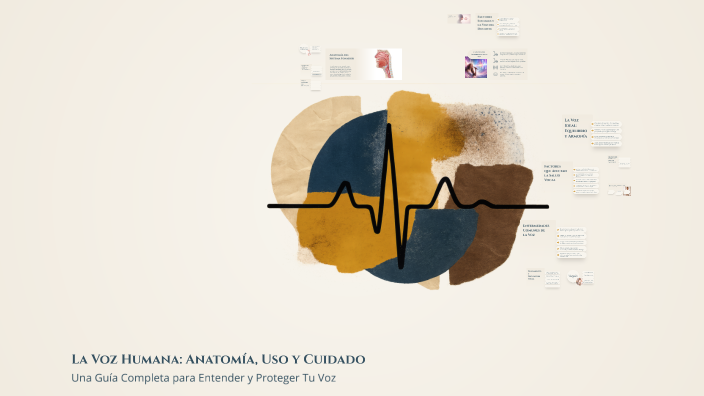 La Voz Humana: Anatomía, Uso y Cuidado by Adriana Navarro on Prezi