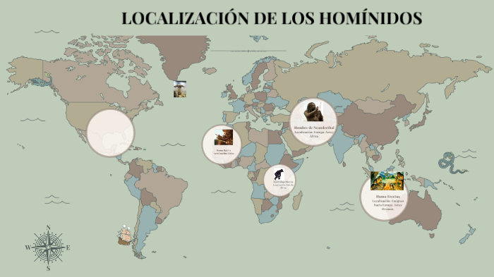 ORIGEN Y UBICACIÓN DE LOS HOMÍNIDOS by ELSA YOLANDA CHANGO ALMACHI on Prezi