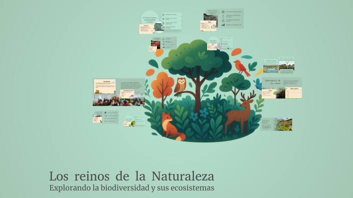 Los reinos de la Naturaleza by adela pantzay on Prezi