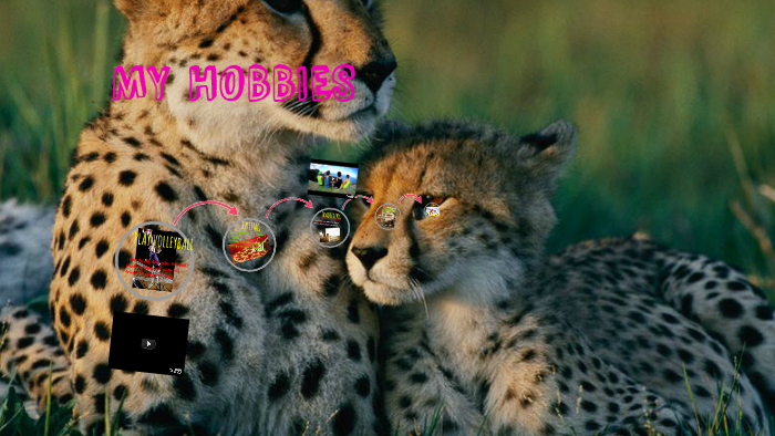 MY HOBBIES by Aina Husna on Prezi