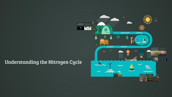 Understanding the Nitrogen Cycle by Regie Salmeron on Prezi