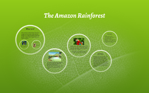 The Amazon Rainforest by alvaro briones on Prezi