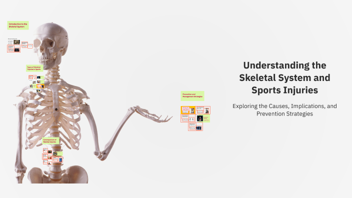 Understanding the Skeletal System and Sports Injuries by Patrick ...