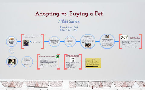 why adopting a pet is better than buying essay