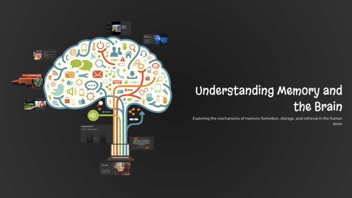 Understanding Memory and the Brain by Laylajess on Prezi