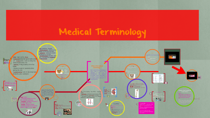 what-is-the-medical-terminology-by-rachel-pavon