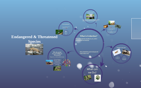 Endangered and Threatened Species by Anick Nasay on Prezi