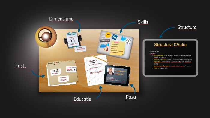 Structura Cv Ului By Andra Simionov On Prezi