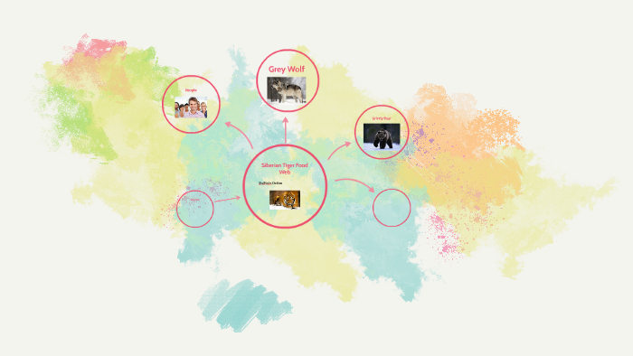 Siberian Tiger Food Web by Sha'Nidra Outlaw on Prezi