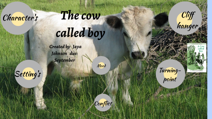 The cow called boy by jaya johnson on Prezi