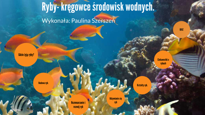 Ryby- kręgowce środowisk wodnych by Paulina Szerszeń on Prezi