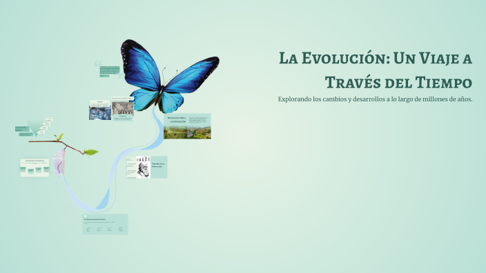 La Evolución: Un Viaje a Través del Tiempo by Luis Rolando Rea Mullo on ...