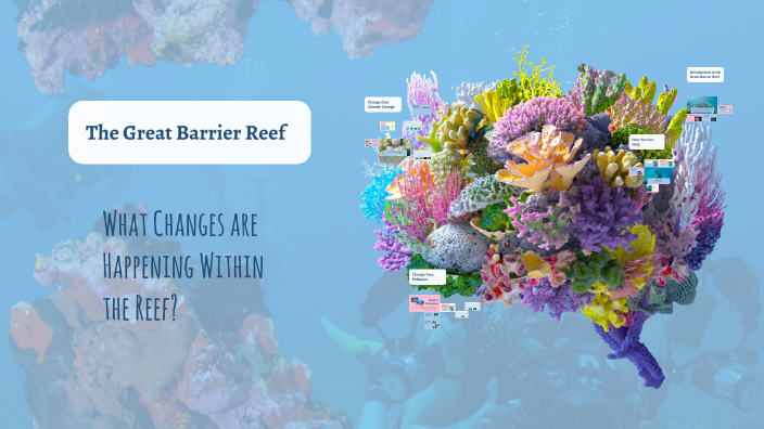 Exploring the Great Barrier Reef by Leah Simpson on Prezi