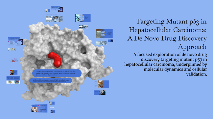 Targeting Mutant p53 in Hepatocellular Carcinoma: A De Novo Drug ...