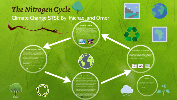 The Nitrogen Cycle by Omer Jamal on Prezi