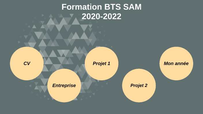 BTS SAM Projets by Farah Birouche on Prezi