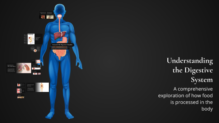 Understanding the Digestive System by Clinton GROVES on Prezi