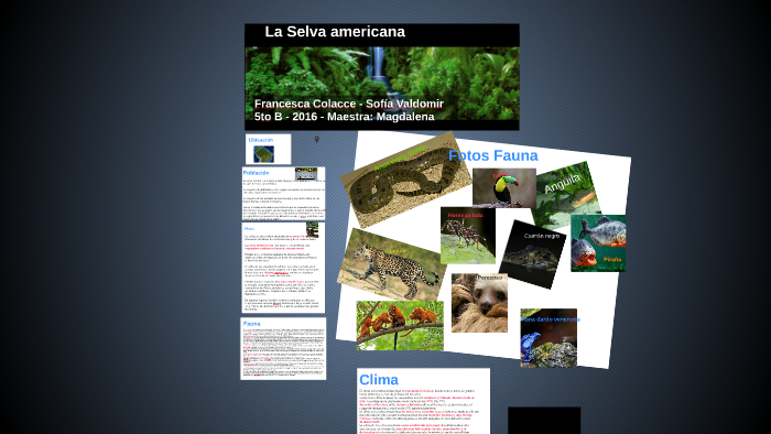 La Selva amazónica by Sofia Valdomir on Prezi