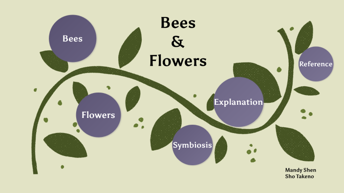 Symbiosis bees and flowers by mandy shen on Prezi