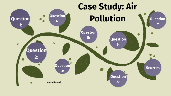 4.02 quiz case study air pollution